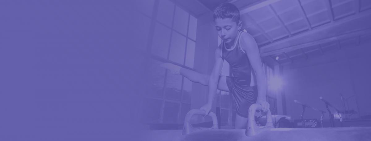 Gymnast on pommel horse